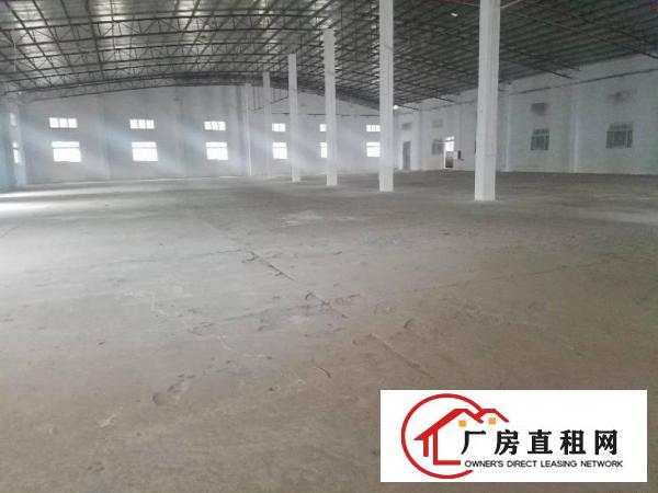 
		园洲独门独院单一层厂房。高8米，电315，周边无居民
	