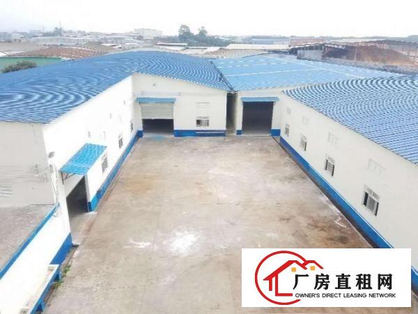 
		园洲独门独院单一层厂房。高8米，电315，周边无居民
	