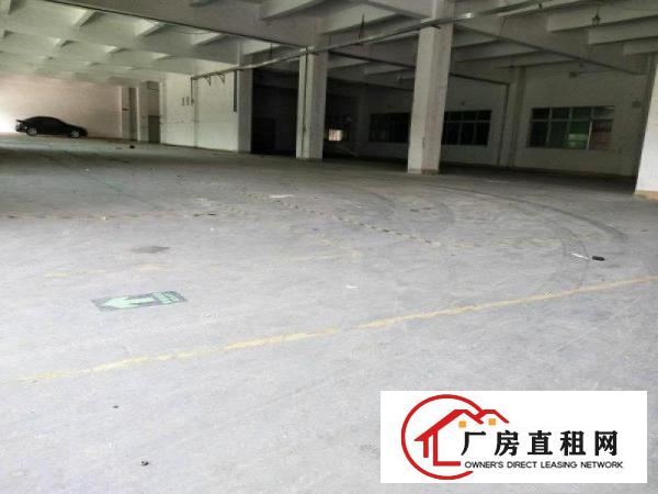 
		园洲镇标准独院厂房出租2100消防喷淋包办环评
	