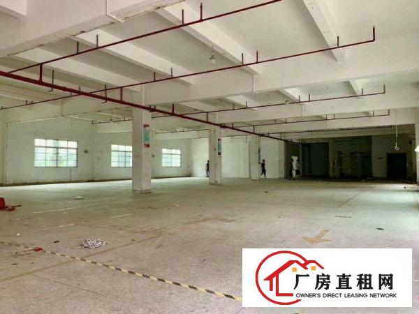 
		园州镇独门独院标准厂房12000平，空地大
	