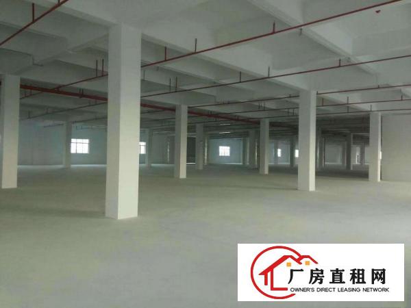 
		博罗园洲厂房繁华工业区独院标准厂房出租原房东正件齐全可做污染
	
