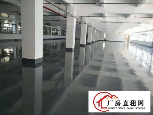 
		博罗园洲镇塑胶厂房出租1560工业用地带设备
	