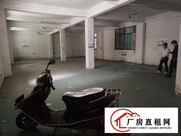 
		园洲镇原房东一楼500平方出租
	