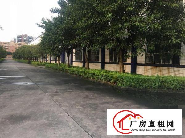 
		龙华镇上市公司砖墙到顶花园厂房32000平米
	