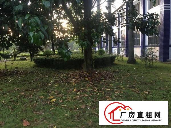 
		龙华镇上市公司砖墙到顶花园厂房32000平米
	