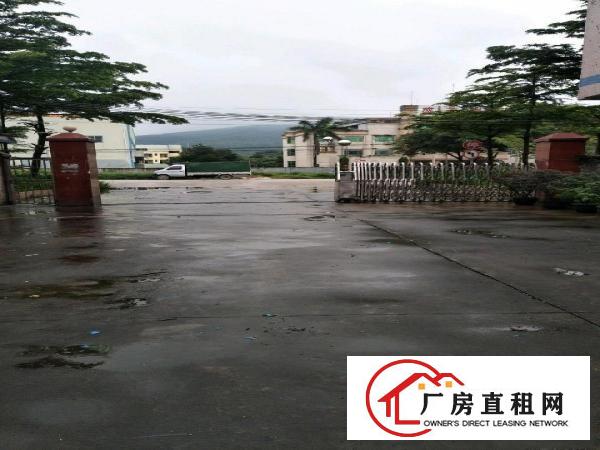
		龙溪城区龙华镇324国道边厂房6000平米
	