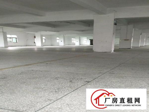 
		龙溪城区龙华镇324国道边厂房6000平米
	