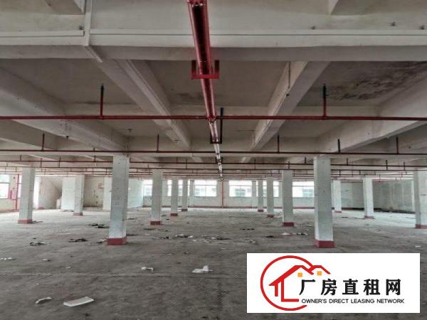 
		博罗龙华工业区消防喷淋厂房12500平米
	