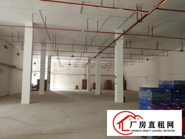 
		博罗龙华工业区包装行业36000平方
	