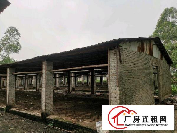 
		园洲城区园洲龙溪周边厂房13500平米
	
