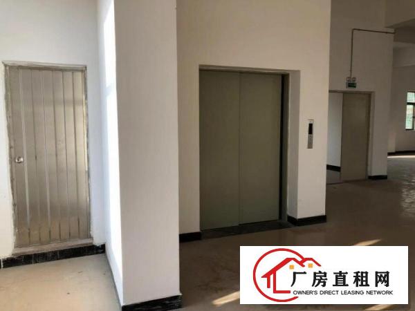 
		9000平方独院标准电梯厂房招租，电600KVA
	