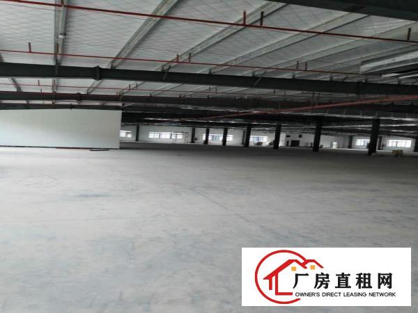 
		博罗园洲厂房全新钢结构厂房出租滴水8.5带隔热层仓库
	