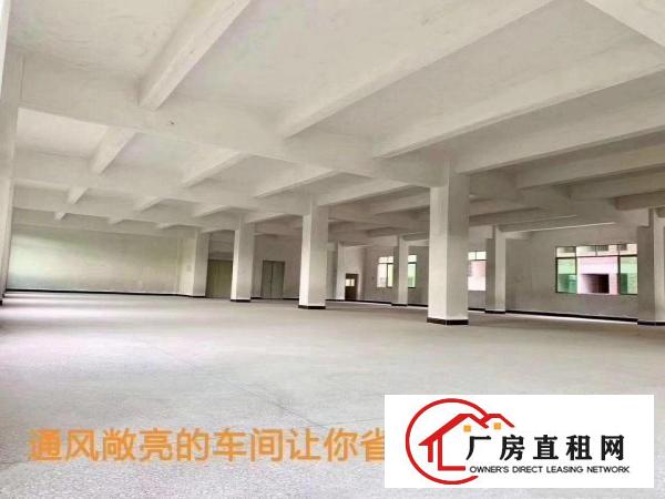 
		3900平方全新电梯厂房招租
	