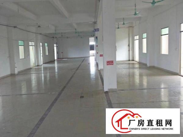 
		3900平方全新电梯厂房招租
	