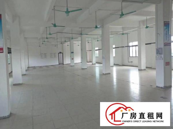 
		3900平方全新电梯厂房招租
	