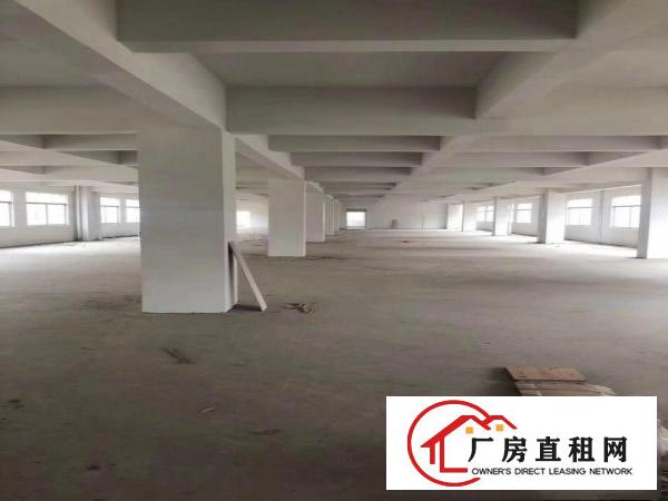 
		3900平方全新电梯厂房招租
	