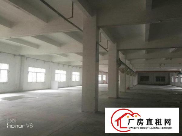
		原房东！原房东！石湾新出独院标准厂房3000方
	