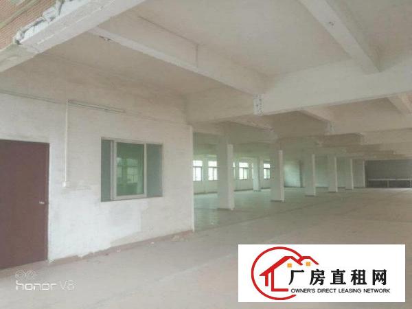 
		原房东！原房东！石湾新出独院标准厂房3000方
	
