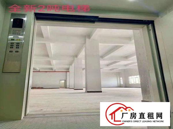 
		石湾全新厂房招租（可整租也可分租)
	