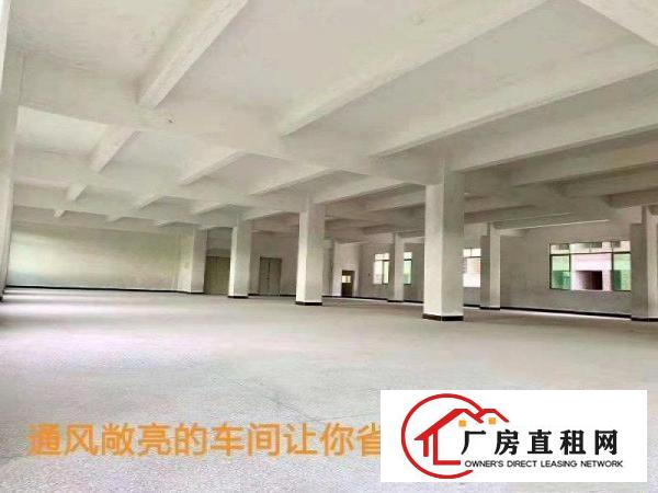 
		石湾全新厂房招租（可整租也可分租)
	
