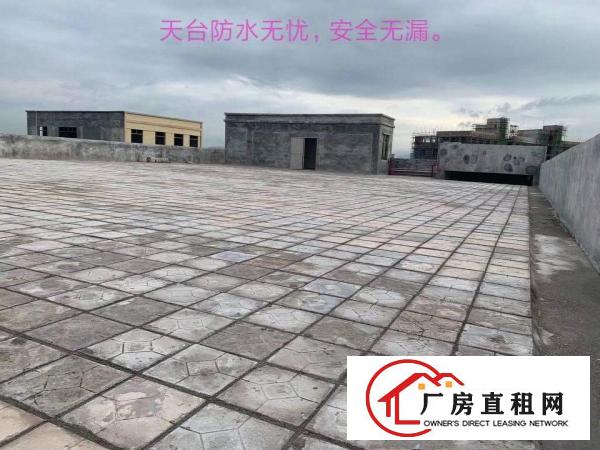 
		石湾全新厂房招租11元
	