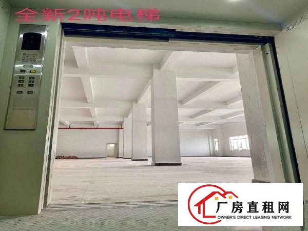 
		石湾全新厂房招租11元
	