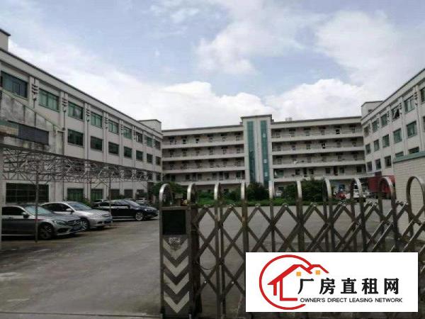 
		石湾科技园全新重工业厂房出租14层3800平，证件齐全
	