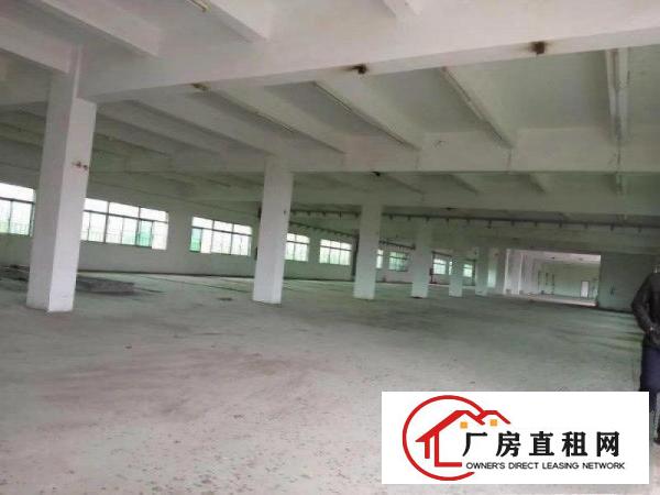 
		石湾科技园全新重工业厂房出租14层3800平，证件齐全
	