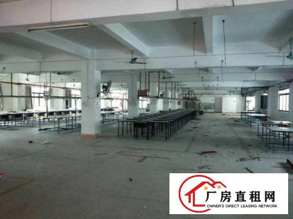 
		石湾镇标准独院厂房出租2100消防喷淋包办环评
	