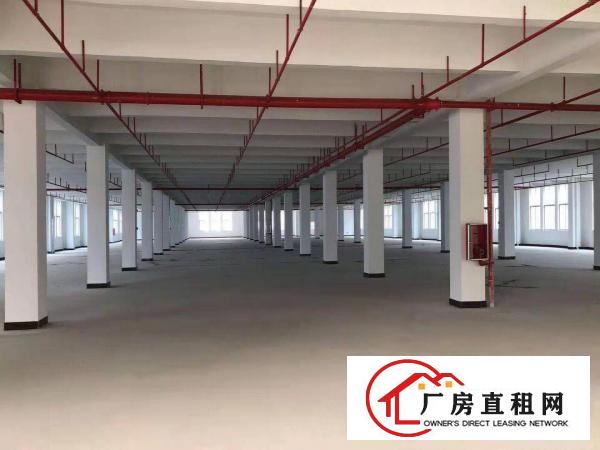 
		原房东带线路板牌，照厂房出租双面电路板标准厂房形象超靓
	