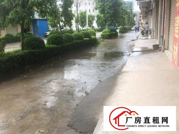 
		石湾单一层小独栋厂房出租，租金实惠，交通便利
	