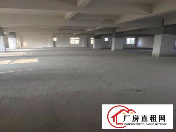 
		石湾新出小独院2层厂房3100方，只租13块
	