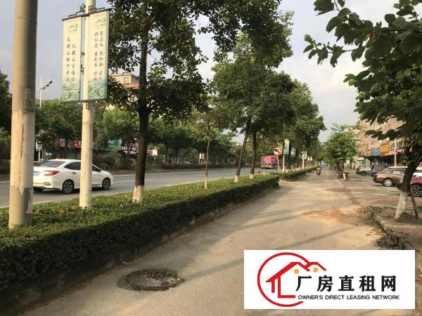 
		(非中介)博罗全新高档电梯厂房高速公路旁
	
