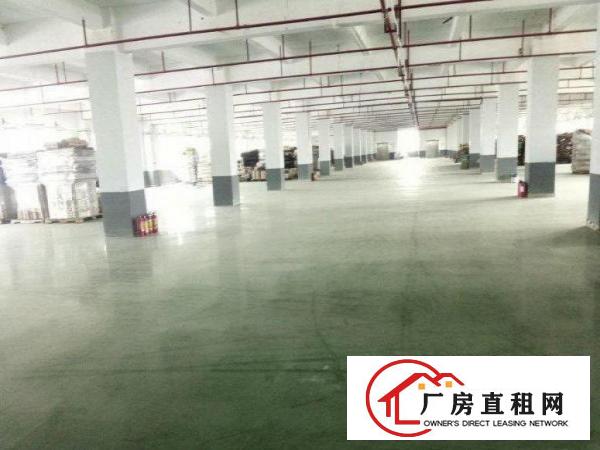 
		（出租）博罗柏塘大路边一楼1000平厂房出租
	