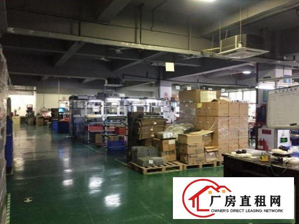 
		博罗柏塘，原房东1500一楼出租，带地坪漆。
	
