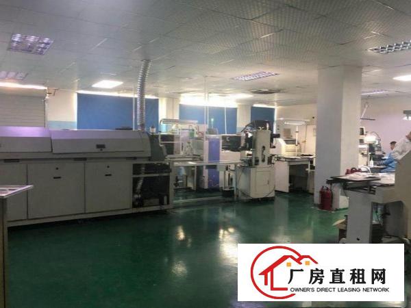 
		博罗柏塘，原房东1500一楼出租，带地坪漆。
	