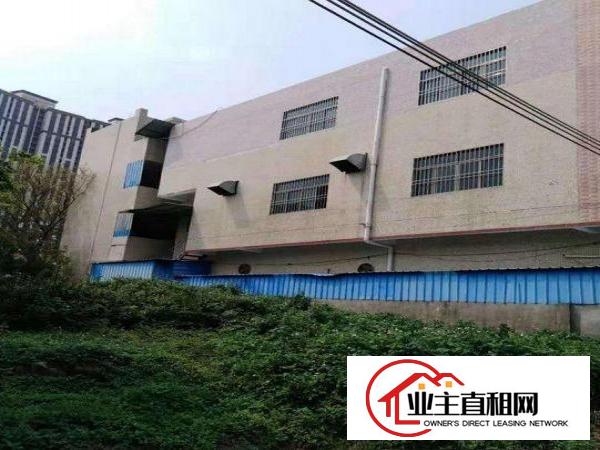 
		博罗福田独栋3层厂房出租1500平方可分租
	