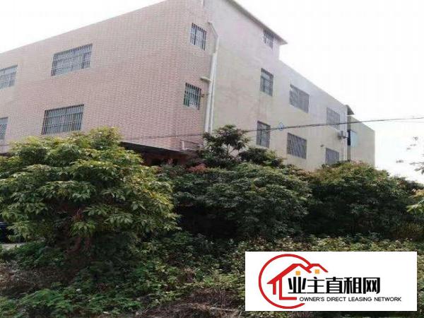 
		博罗福田独栋3层厂房出租1500平方可分租
	