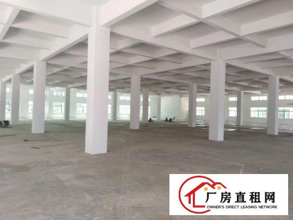 
		泰美300平方起租证齐工业园
	