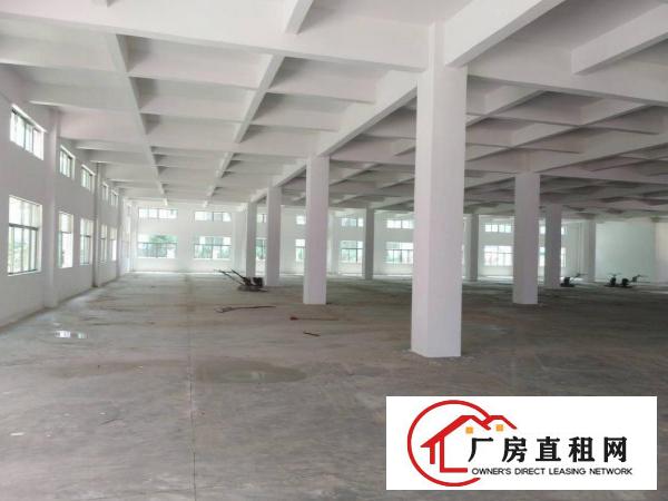 
		泰美300平方起租证齐工业园
	