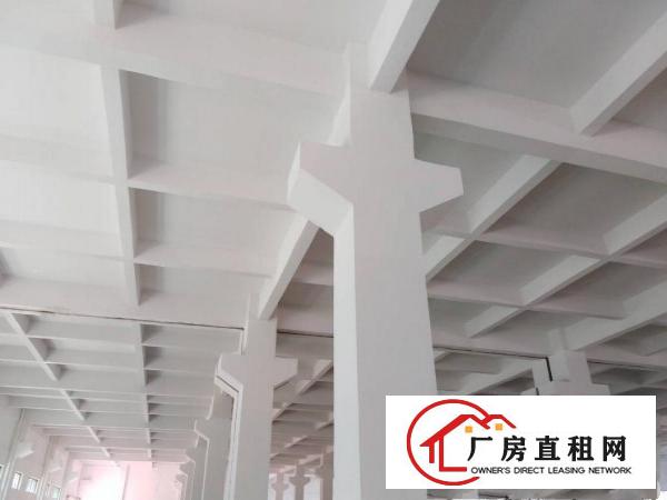 
		泰美300平方起租证齐工业园
	