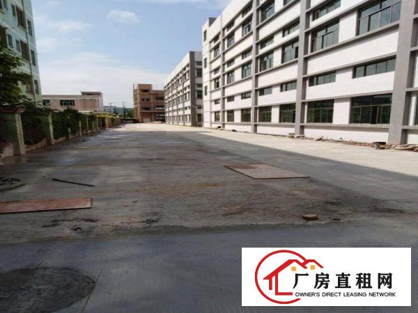 
		泰美300平方起租证齐工业园
	