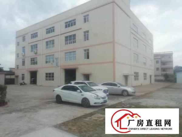 
		泰美原房东单一层小厂房出租
	