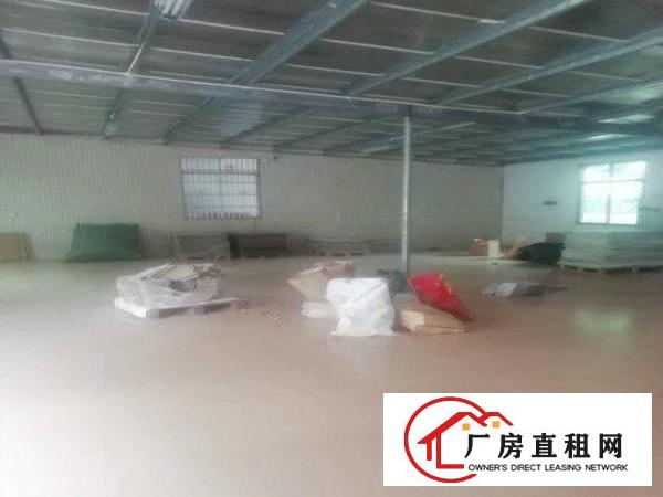 
		泰美原房东单一层小厂房出租
	