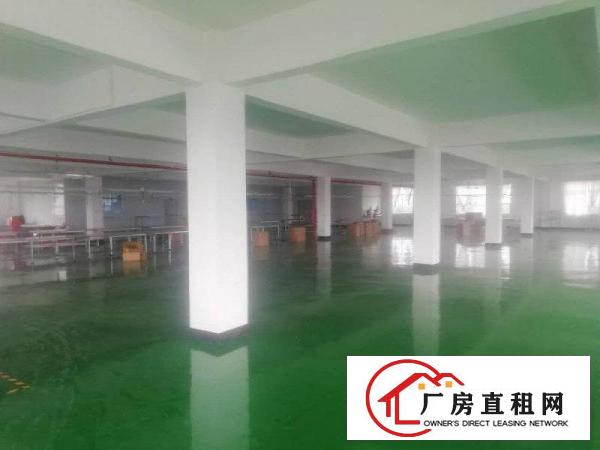 
		泰美全新地坪漆厂房出租分租
	