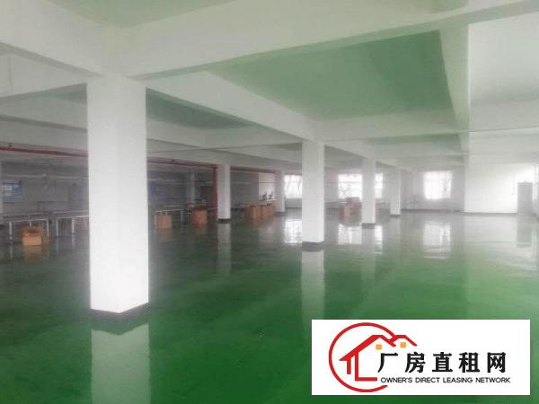 
		泰美全新地坪漆厂房出租分租
	