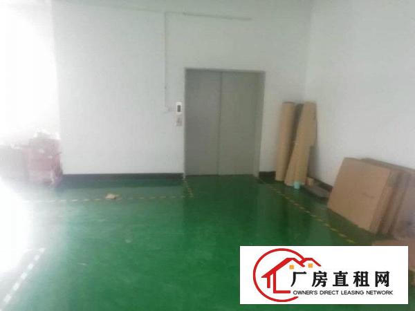 
		泰美全新地坪漆厂房出租分租
	