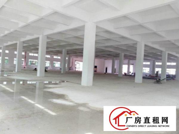 
		出租泰美标准厂房42000平方大小可分租
	