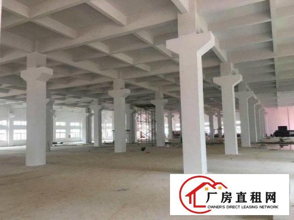 
		泰美镇全新独院约33000平方红本重型工业厂房招租合同15年
	
