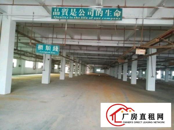  全新厂房，是老板们发财地，需要的看过韦